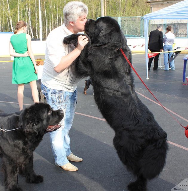 Фотография № 94481