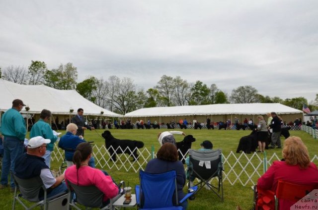 Фотография № 94523