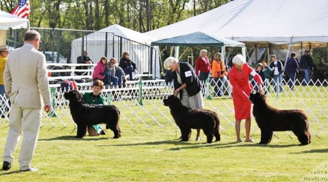 Фотография № 94527