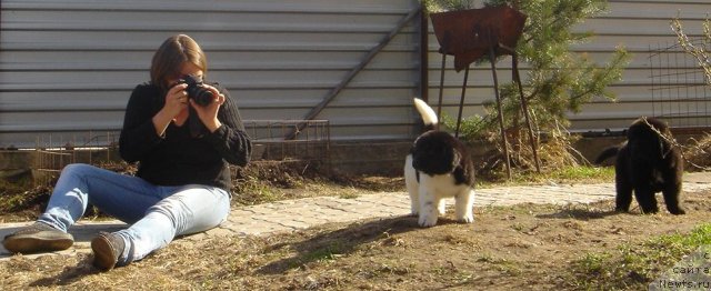 Фото: Kseniya Semikova (Ксения Семикова)