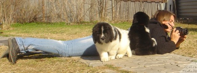 Фото: Kseniya Semikova (Ксения Семикова)