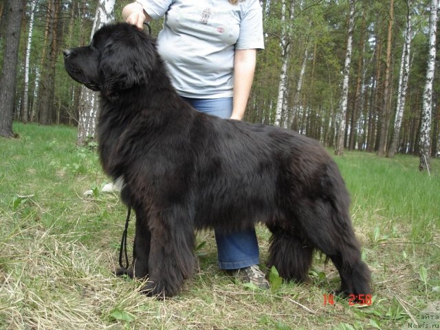 Фотография № 94535