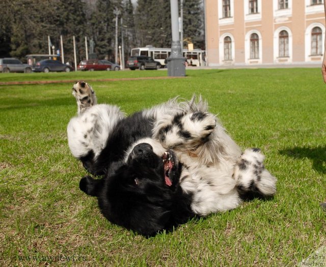 Фотография № 94543