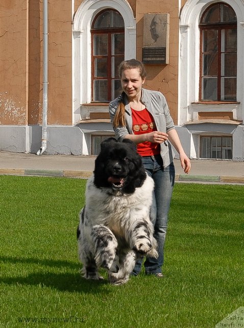 Фотография № 94545