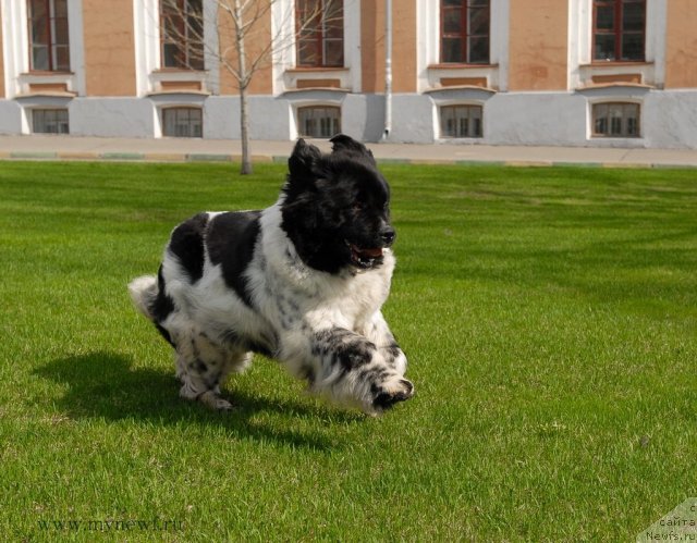 Фотография № 94546