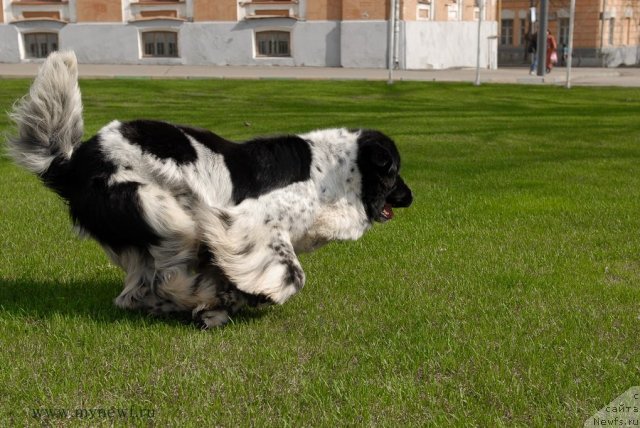 Фотография № 94547