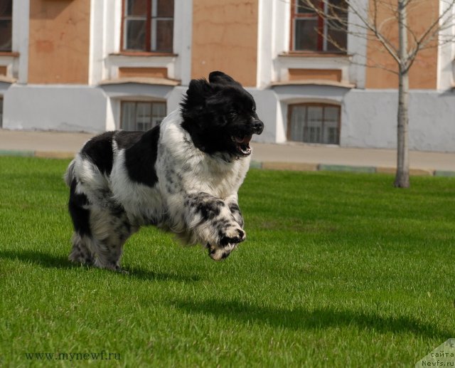 Фотография № 94555