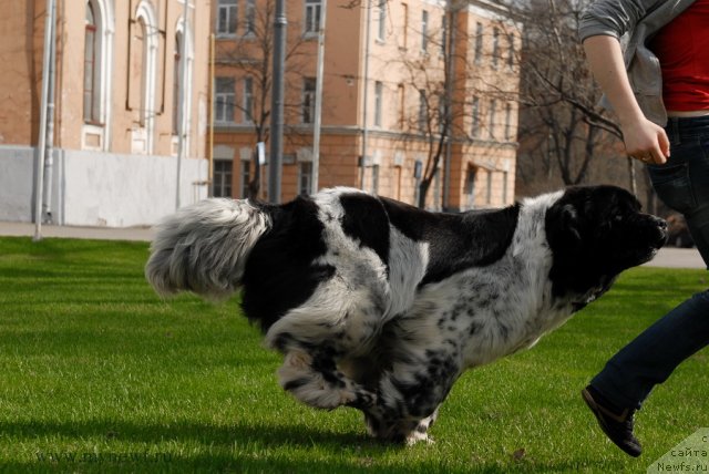 Фотография № 94557