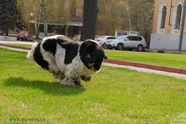 Фотография № 94558