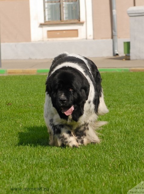 Фотография № 94560