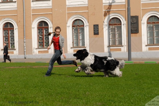 Фотография № 94561