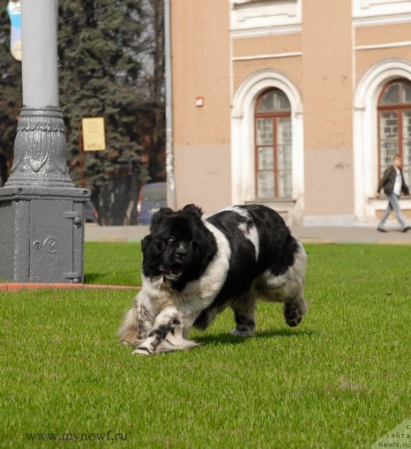 Фотография № 94562