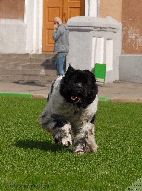 Фотография № 94563