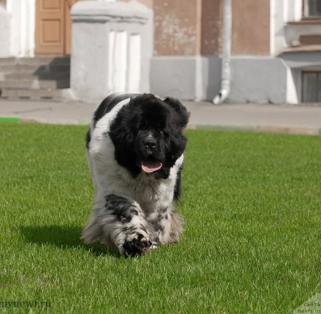 Фотография № 94564