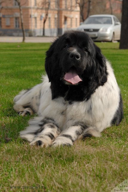 Фотография № 94573