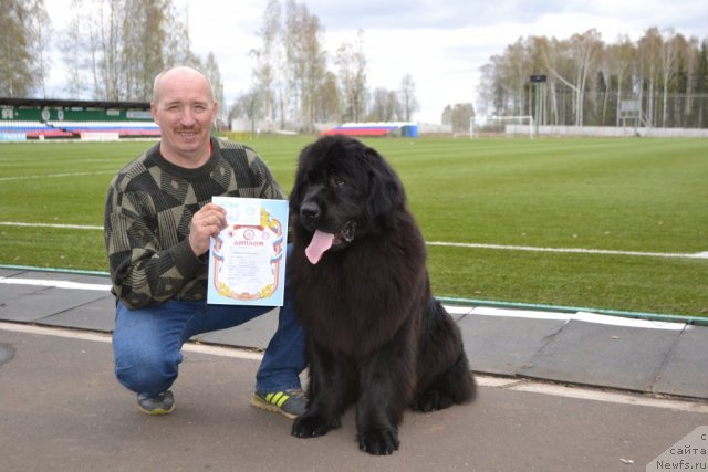 Фото: ньюфаундленд Uil'yam Naslednik Trona (Уильям Наследник Трона)