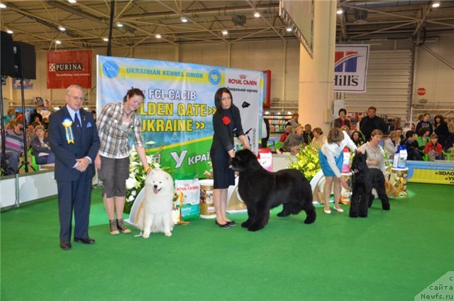 Фотография № 94634