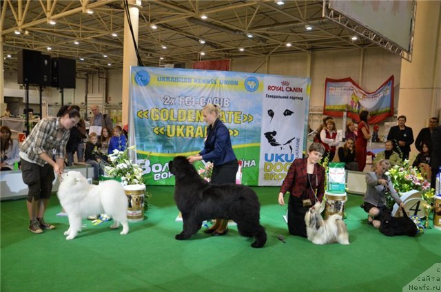 Фотография № 94635