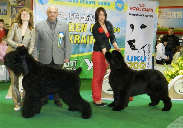 Фотография № 94636