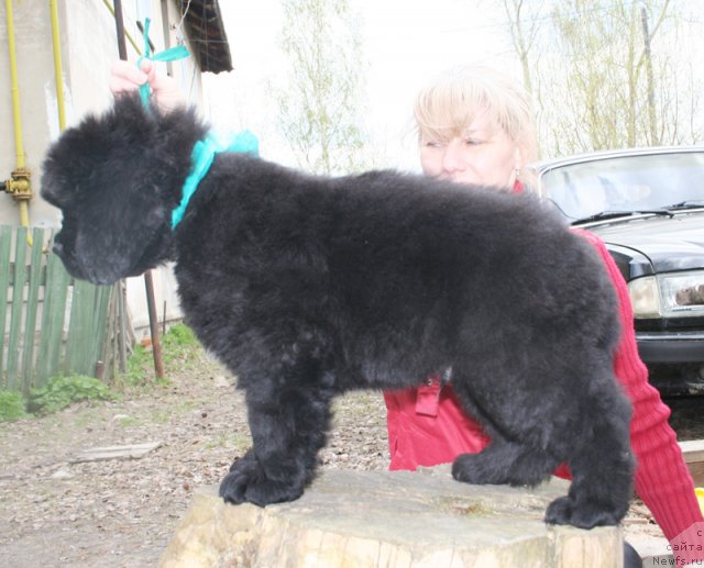 Фото: Бегущая по волнам Центэр оф Аттракшион