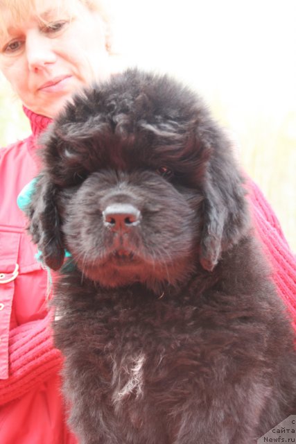 Фото: Бегущая по волнам Центэр оф Аттракшион