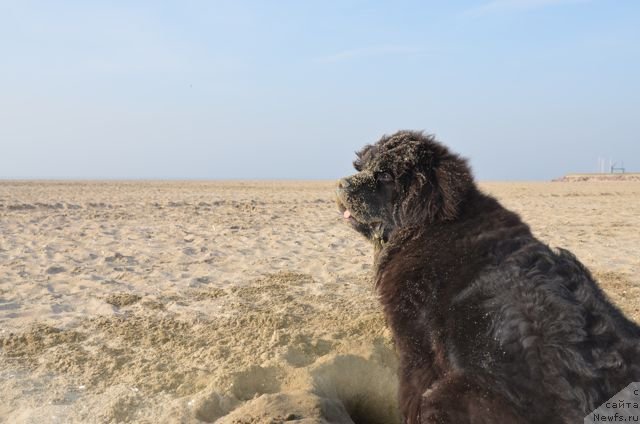 Фотография № 94698