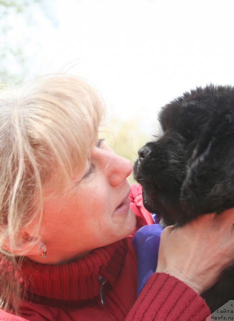 Фото: Кобель синяя лента, Elena Istomina (Елена Истомина)