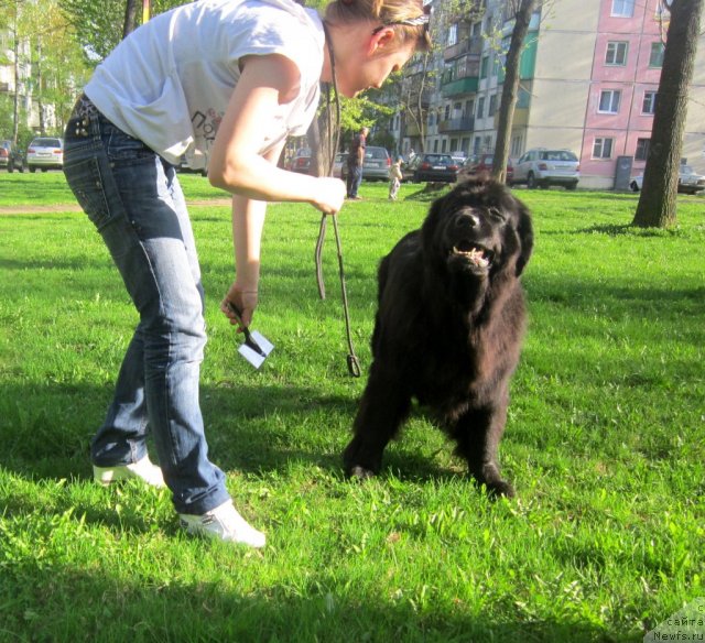 Фотография № 94864