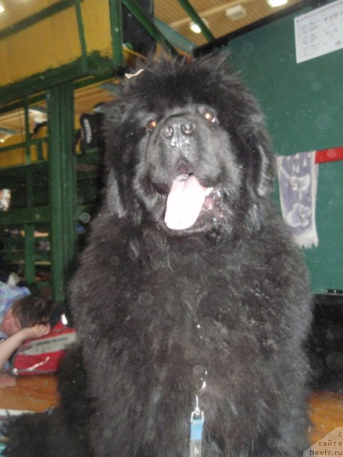 Фотография № 94916