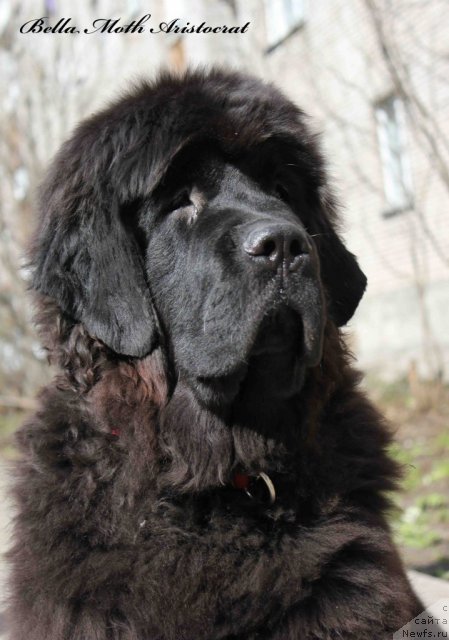 Фотография № 94979