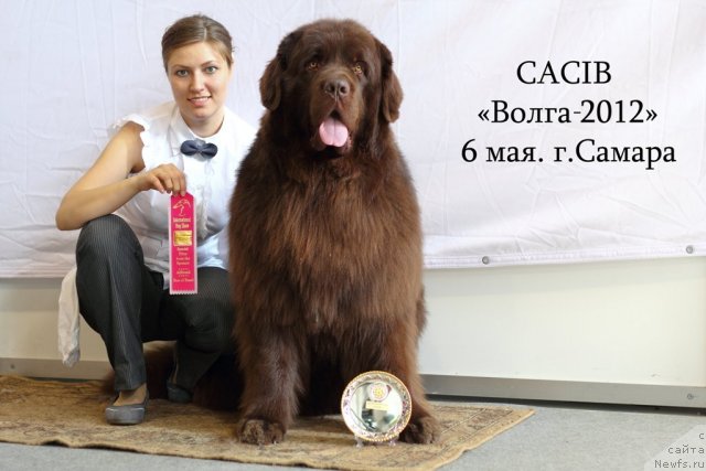 Фотография № 95014