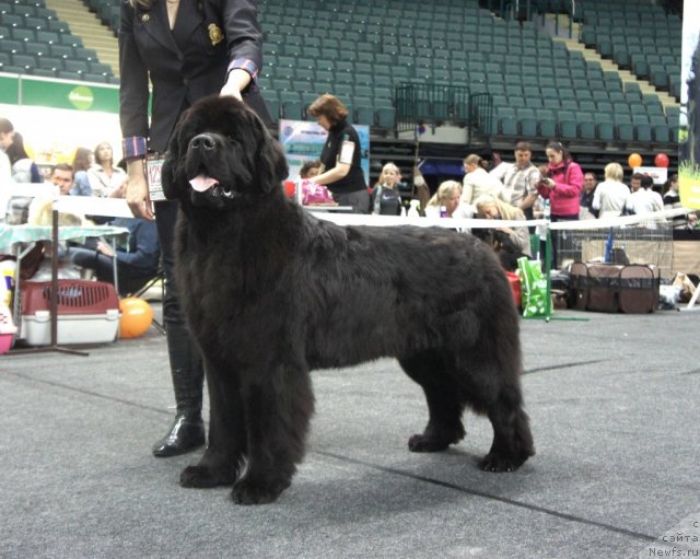 Фотография № 95017