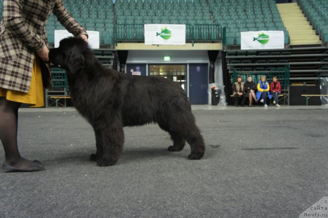 Фотография № 95020