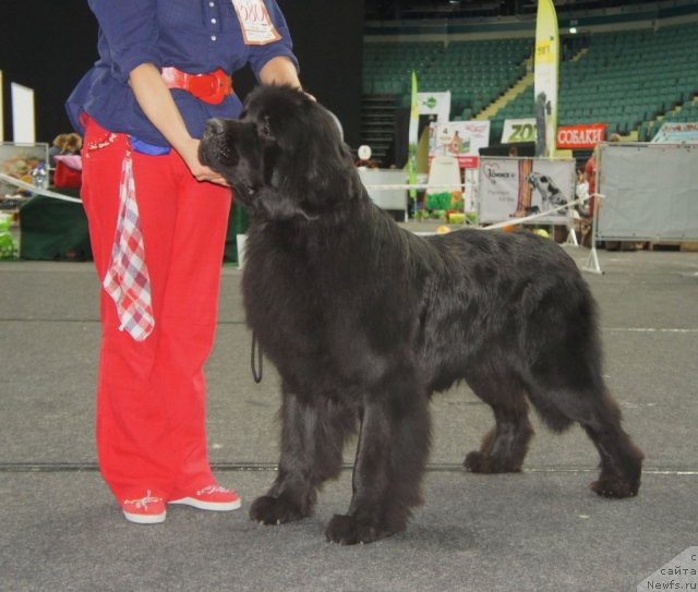 Фотография № 95024