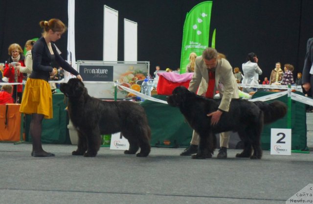 Фотография № 95030