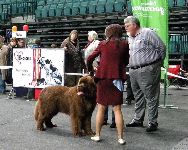 Фотография № 95039