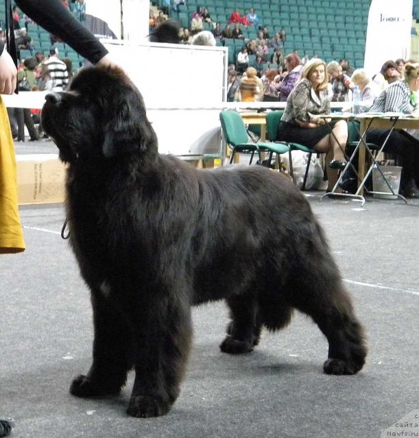 Фотография № 95041