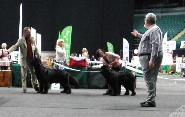 Фотография № 95046