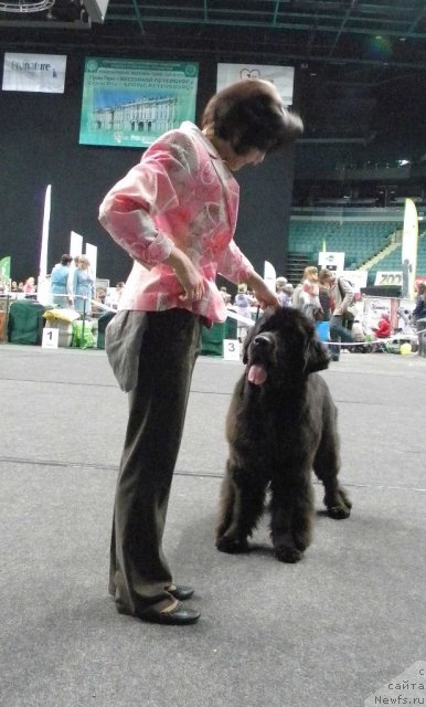 Фотография № 95049