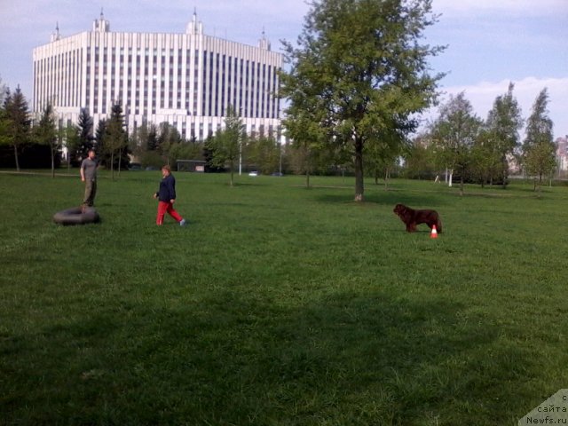 Фотография № 95055