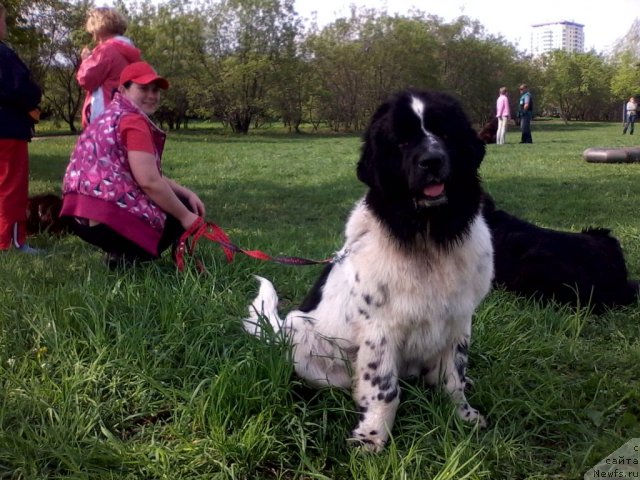 Фотография № 95057