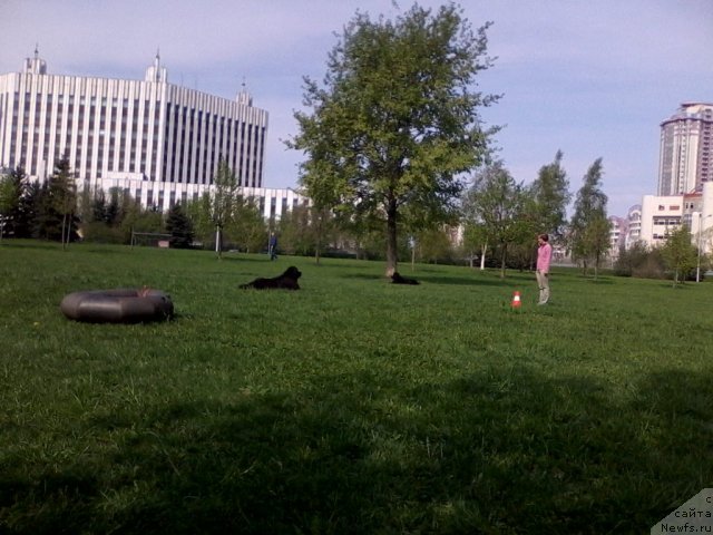 Фотография № 95058