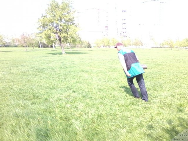 Фотография № 95060