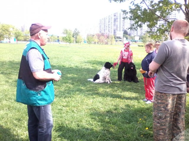 Фотография № 95061