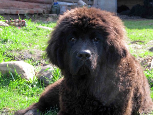 Фотография № 95126