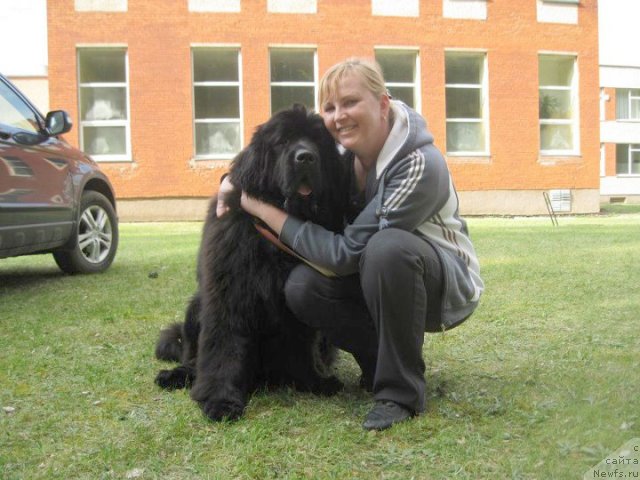 Фото: ньюфаундленд Begushaya Po Volnam Zoom Zoom (Бегущая по Волнам Зум Зум), Хейли Каспер