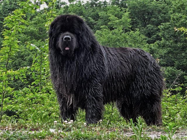 Фотография № 95235