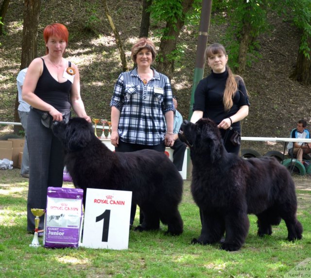 Фотография № 95243