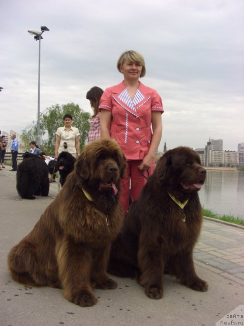 Фото: ньюфаундленд Lesnaja Skazka Korolevskiy Medved (Лесная Сказка Королевский Медведь), ньюфаундленд Barhatka Roskoshnaya (Бархатка Роскошная), Svetlana Permyakova (Светлана Пермякова)