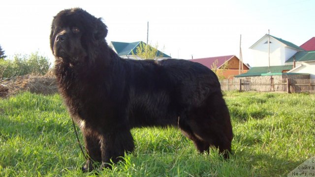 Фотография № 95261